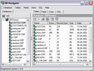 DB Navigator screenshot